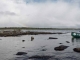 Ein Paddel-Erlebnis der Extraklasse in Kanadas neuestem Nationalpark in den Northwest Territories