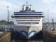 Princess Cruises stellt Weltreise 2027 vor: Grand Circle Pacific Voyage
