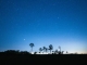 Sternenklare Nächte in Floridas Wildnis: Stargazing-Erlebnisse in den Everglades