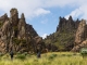 Ökotourismus in Kenias Hochland: Nachhaltigkeit und Abenteuer vereint