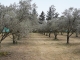 Neue TUI Field to Fork Programme in Zypern und Portugal
