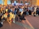 USA Experts Event trifft auf Starlight Express: Fortbildung und Musical in perfekter Kombination