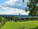 TUI Hautnah-Event im steirischen Weingut