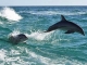 Panama City Beach: Zwischen Retro-Charme und Lifestyle-Trends