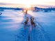 Winterzauber in Finnland – trendtours startet neue Erlebnisreise