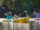 Aktivurlaub in Sarasota County: Naturerlebnisse und kulinarische Vielfalt
