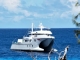 Neue Expedition zum Aldabra-Atoll – nur sechs Gäste an Bord