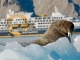 Expeditionsreise durch die Nordwestpassage mit Polaris Tours