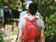Fotografie-Sonderreise zur Grünen Saison nach Costa Rica