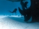 Versenkter Thunfischfrachter wird neues Taucherparadies im Noonu-Atoll