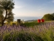 Lefay Resorts setzen auf bewusste Regeneration statt bloßer Auszeit