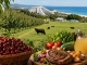 Bulgarien: Albena bringt Obst, Gemüse und Fleisch aus eigener Produktion auf den Tisch
