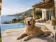 Urlaub mit Hund wird komfortabler