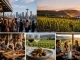 Washington State verbindet Food Tours mit neuer Weinregion