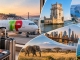 Alemania y Austria: TAP lanza tarifas especiales a más de 90 destinos
