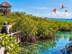 Cozumel verbindet Ausflugsangebot mit Mangrovenschutz