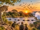 Sambia entdecken: Safari-Abenteuer abseits der Pirschwege