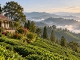 Indien: Neues Gästehaus auf historischer Teeplantage bei Darjeeling